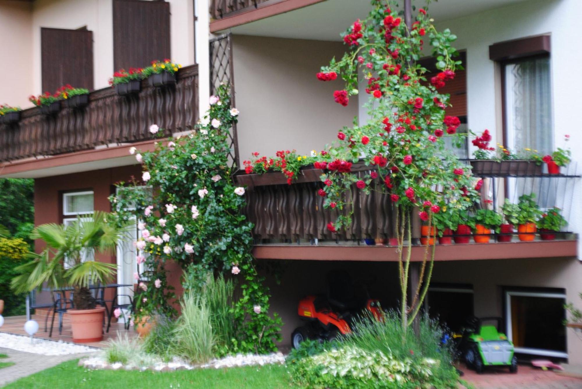 Ferienhaus Michor Latschach ober dem Faakersee Exterior foto